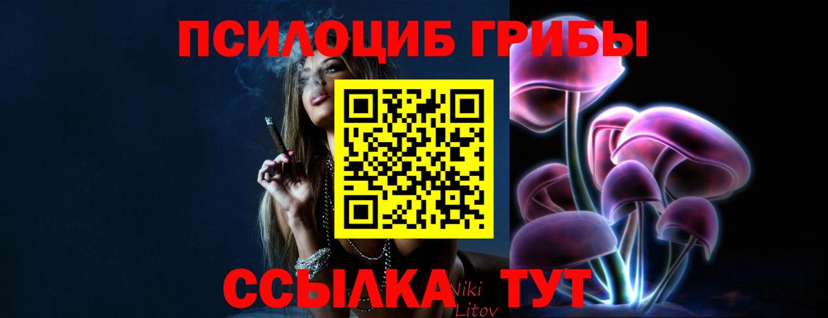 Галлюциногенные грибы MAGIC MUSHROOMS Рузаевка